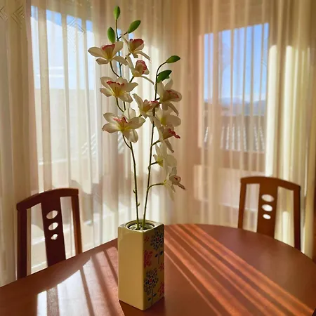 Apartment Nido Del Patron